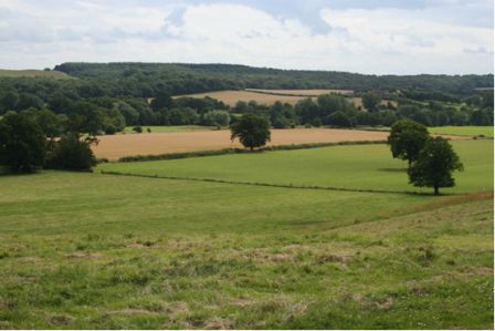 Warwickshire view